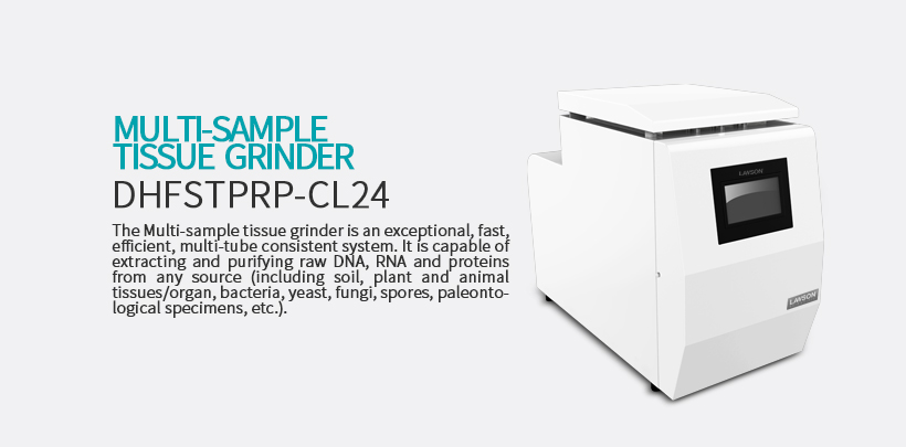 Multi-sample tissue grinder DHFSTPRP-CL48